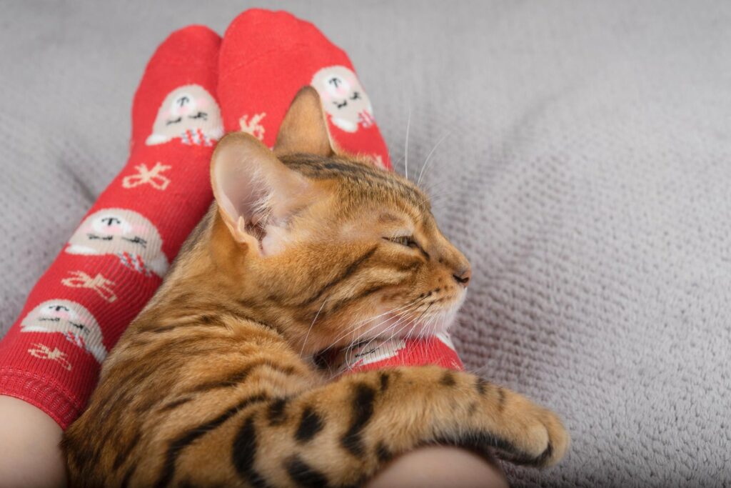 Sleeping with Socks